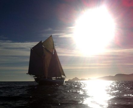 Sailing towards a new horizon is rather exciting!