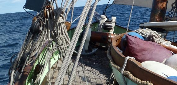 the Bits on Agnes