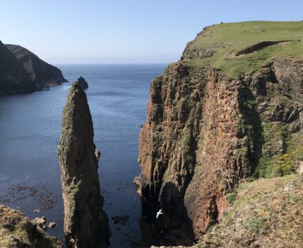 Trinovante - This is the fair Isle