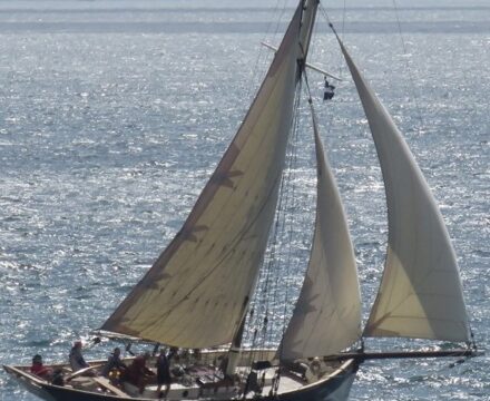 Don't miss the boat! Sign up to the Classic Sailing newsletter for special offers, competitions and the latest news from our fleet and beyond!