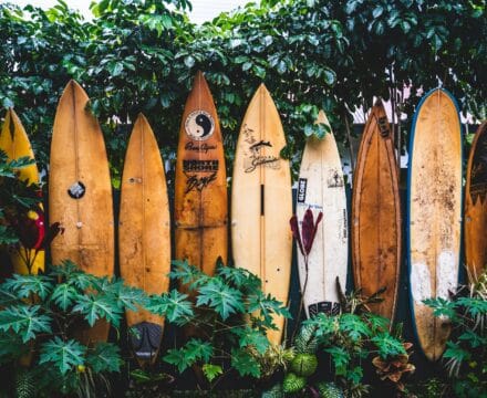 Surfing boards in the Pacific Islands